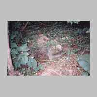 033-1016 Gruenhayn im Sommer 2000. Grabreste auf dem Gruenhayner Friedhof .JPG